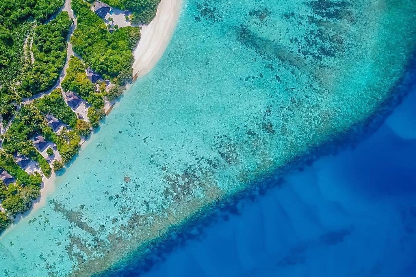 Aerial view of a Maldivian island shoreline where the turquoise lagoon meets the deep blue reef edge